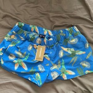 Brand New Patagonia Women’s Barely Baggies Shorts